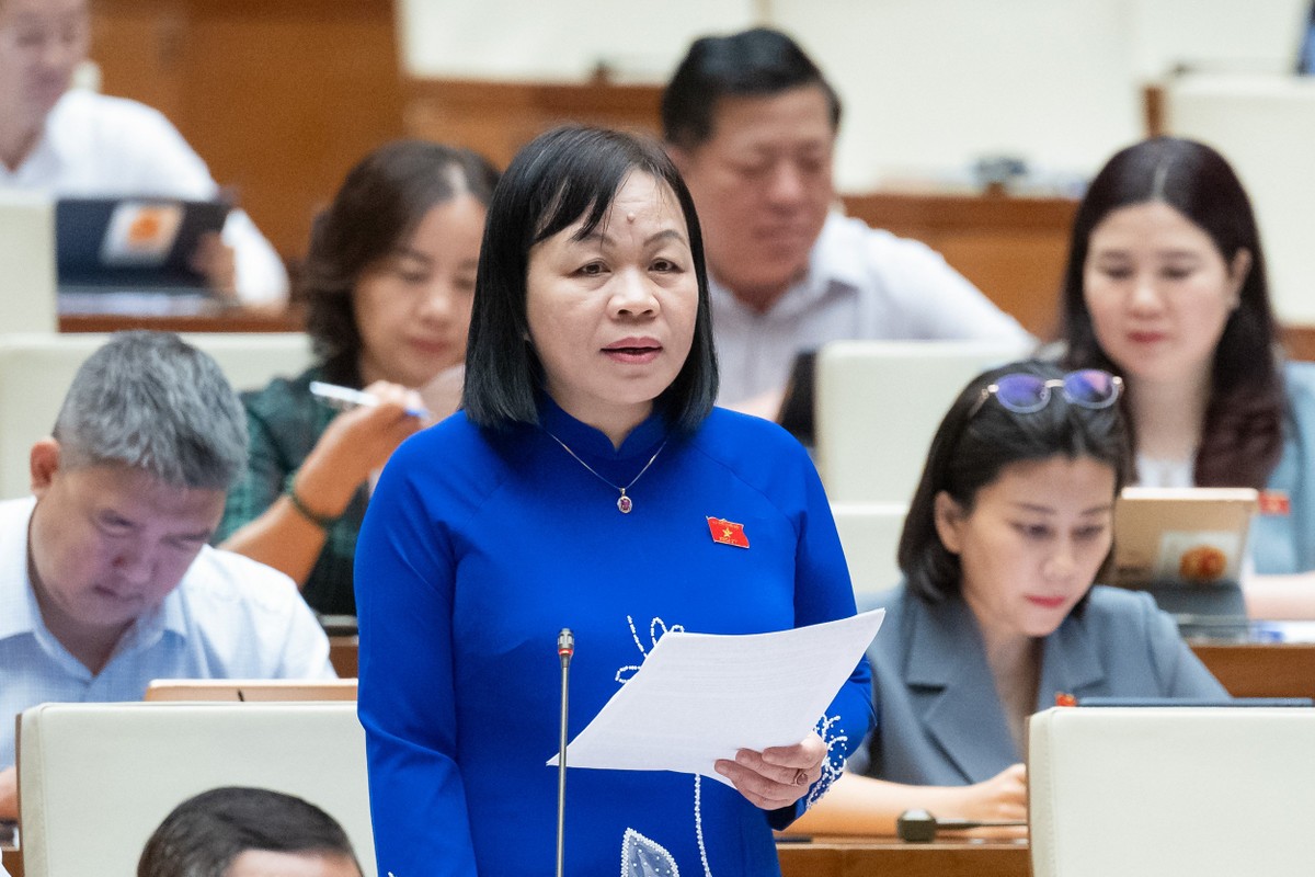 Đại biểu Nguyễn Thị Mai Hoa (đoàn Đồng Tháp) Đại biểu Nguyễn Thị Mai Hoa (đoàn Đồng Tháp)