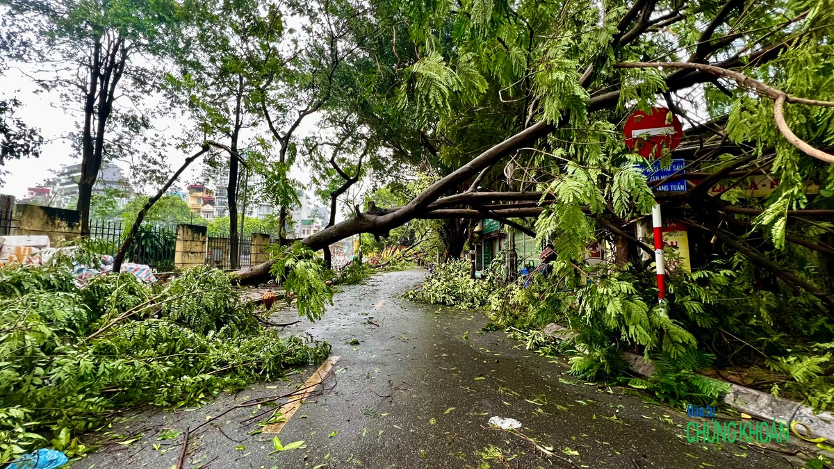 Cảnh tượng tan hoang trên phố Trúc Bạch sáng 8/9 khiến nhiều hàng quán phải đóng cửa
