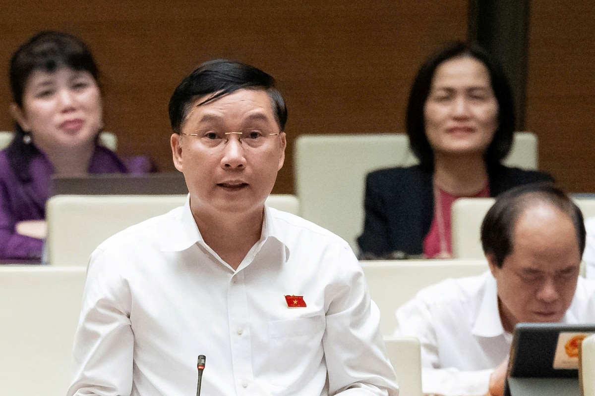 Đại biểu Lê Hoàng Anh