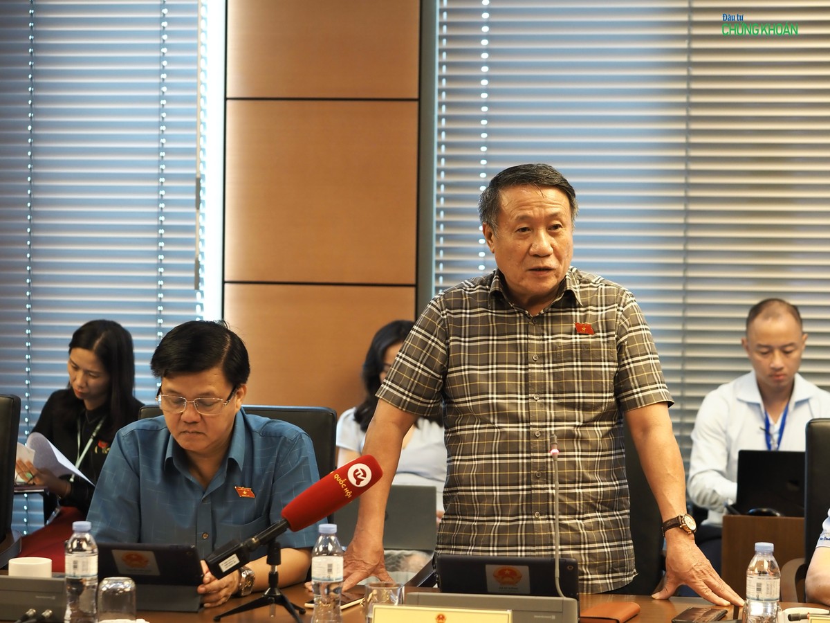 Đại biểu Hà Sỹ Đồng cho rằng có thể đa dạng hoá nguồn vốn đầu tư dự án để giảm áp lực và rủi ro cho ngân sách