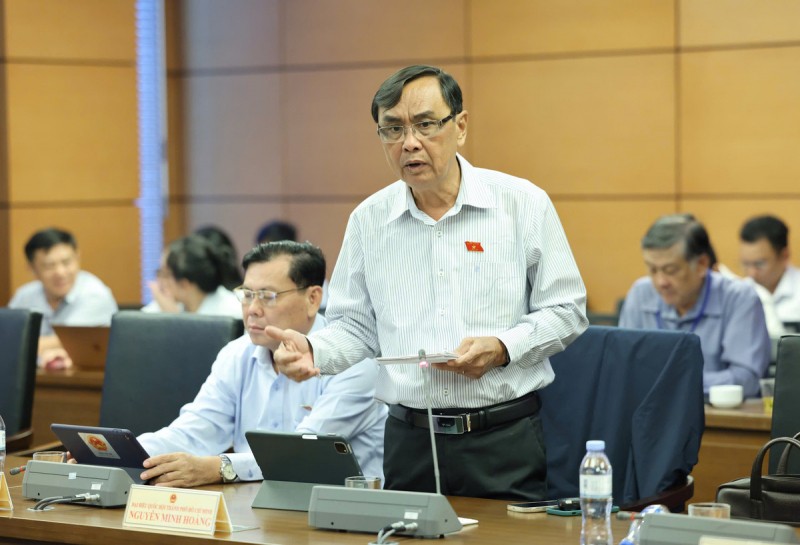 Đại biểu Nguyễn Minh Hoàng (đoàn TP Hồ Chí Minh)