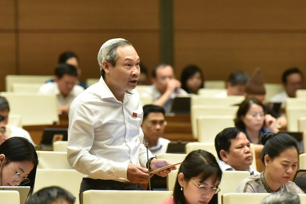 Đại biểu Phan Đức Hiếu (đoàn Thái Bình)