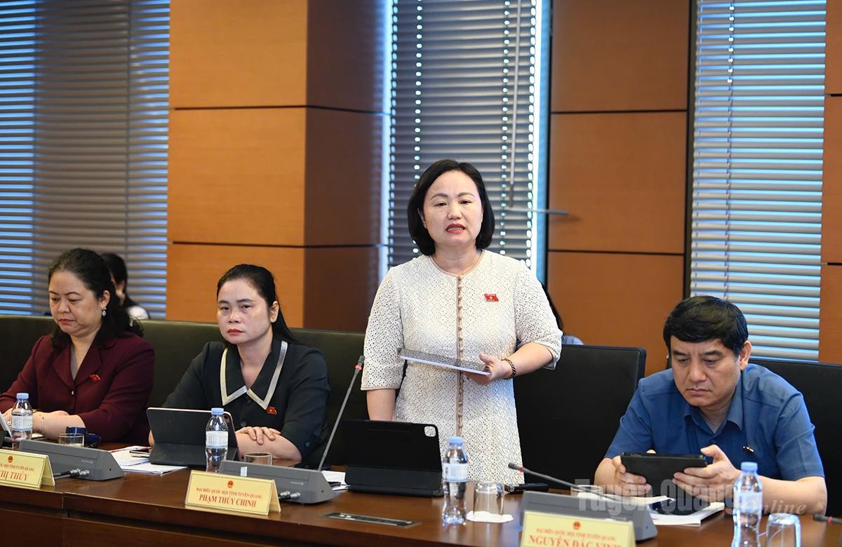 ĐBQH Phạm Thị Thúy Chinh phát biểu tại tổ sáng 21/10