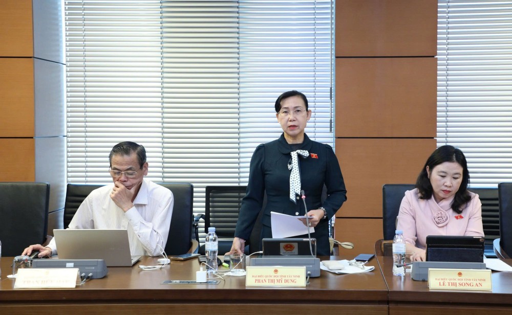 Đại biểu Phan Thị Mỹ Dung (đoàn Tây Ninh)