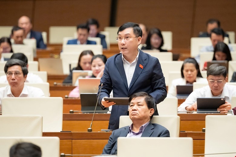 Đại biểu Lê Hoàng Anh phát biểu Đại biểu Lê Hoàng Anh phát biểu