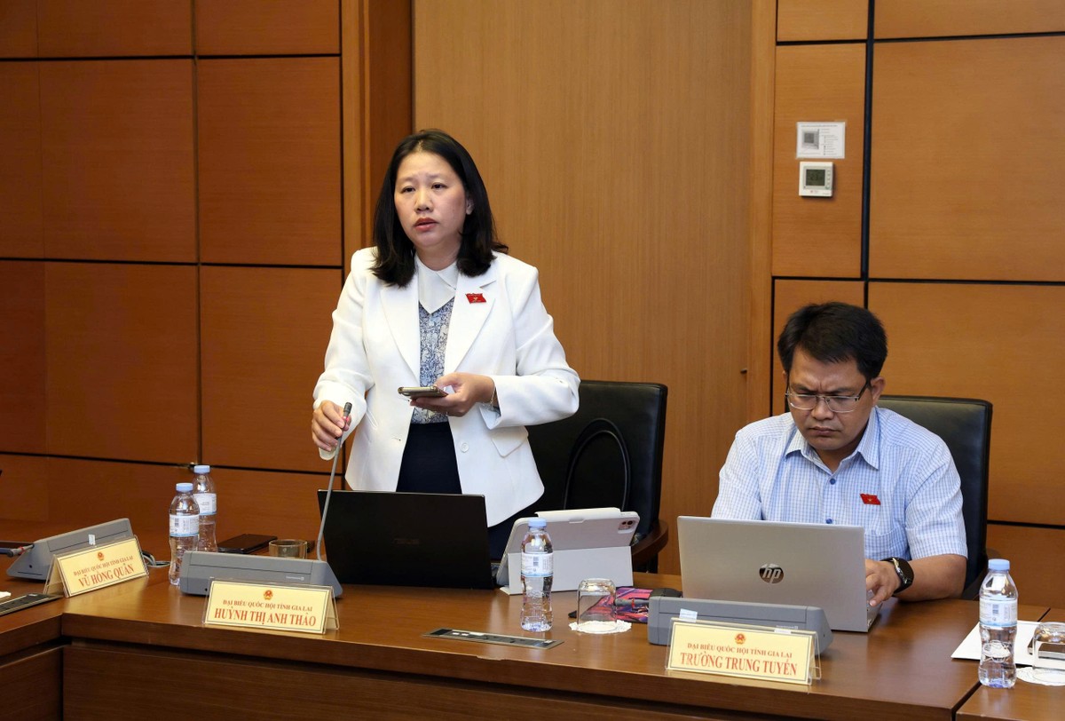Đại biểu Huỳnh Thị Anh Thảo, đoàn ĐBQH tỉnh Gia Lai