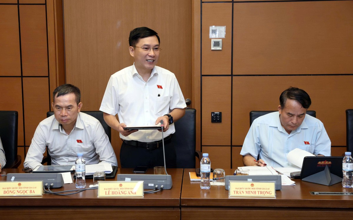 Đại biểu Lê Hoàng Anh - Đoàn ĐBQH tỉnh Gia Lai nêu quan điểm