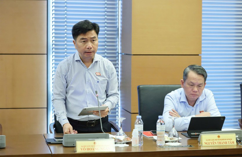 Đại biểu Võ Hoàng Ngân tại thảo luận tổ snags 19/10