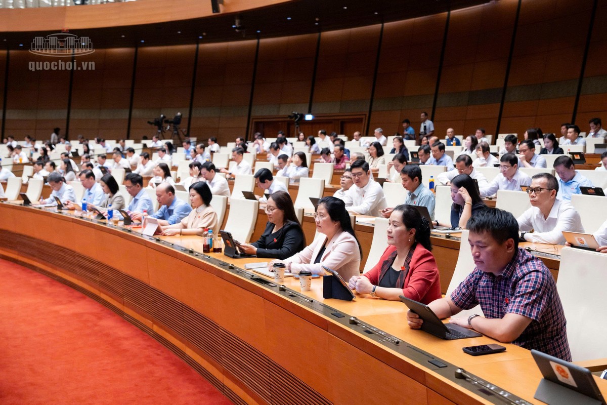 Các đại biểu tham dự phiên họp Các đại biểu tham dự phiên họp