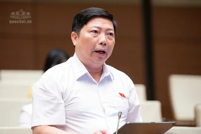 Đại biểu Nguyễn Vũ Trung (đoàn TP HCM)