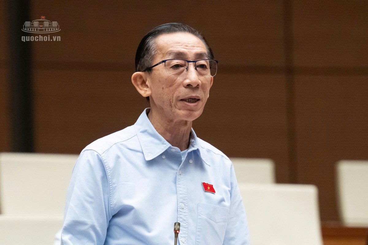Đại biểu Trần Hoàng Ngân (đoàn TP.HCM)