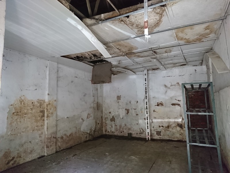 Mục sở thị khu “đất vàng” của Hãng phim truyện Việt Nam ảnh 6