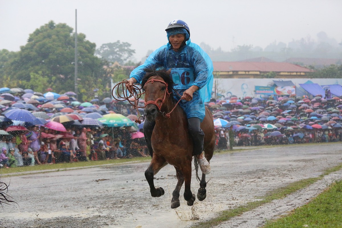 Thủy chiến đua ngựa có một không hai trên cao nguyên Bắc Hà ảnh 8