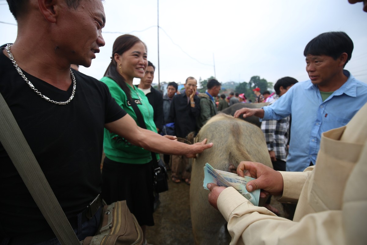 Trải nghiệm “sàn giao dịch” trâu lớn nhất Bắc Hà  ảnh 11