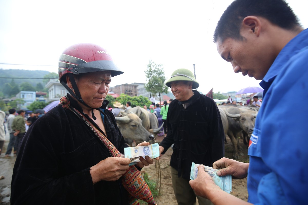 Trải nghiệm “sàn giao dịch” trâu lớn nhất Bắc Hà  ảnh 8
