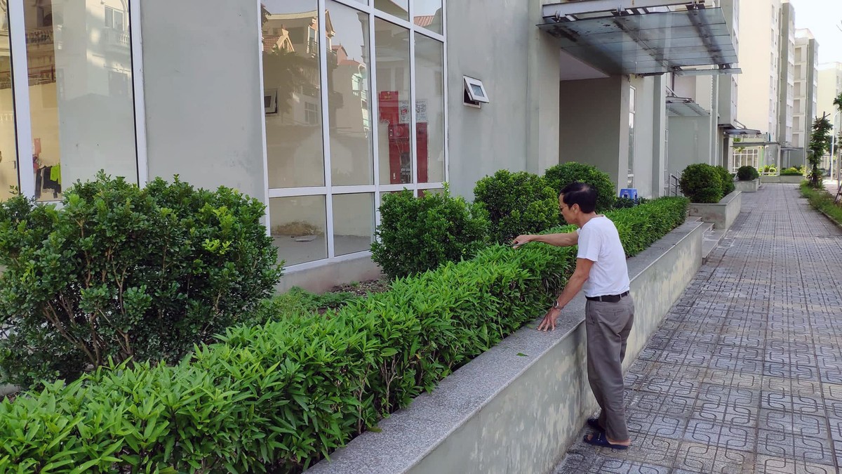 Hà Nội: Dân phố cổ chê, nhà giãn dân đắp chiếu ảnh 12