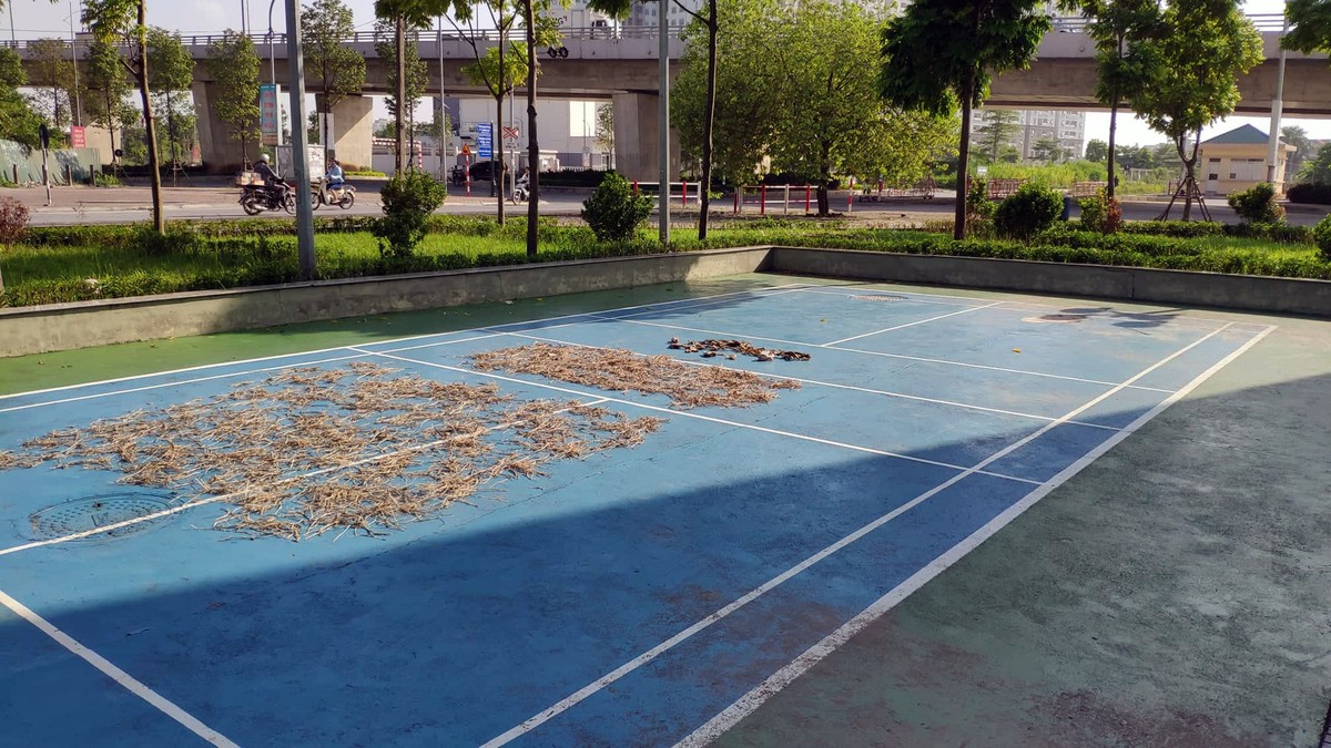 Hà Nội: Dân phố cổ chê, nhà giãn dân đắp chiếu ảnh 11