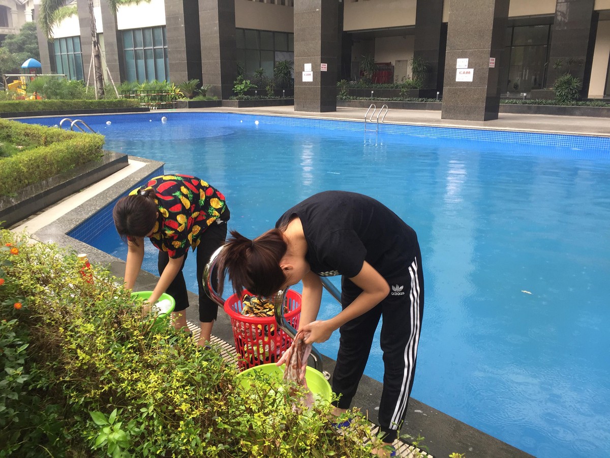 Hà Nội: Chuyện ngày này của triệu dân dùng nước sông Đà ảnh 8