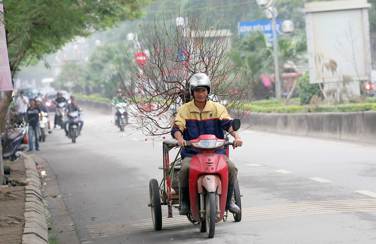 Đang yên lành, Tết bỗng về tới phố  ảnh 9
