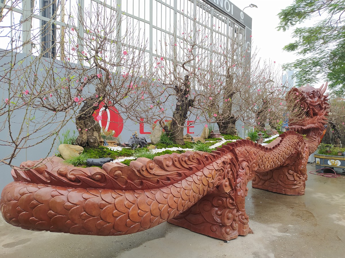 Đang yên lành, Tết bỗng về tới phố  ảnh 8