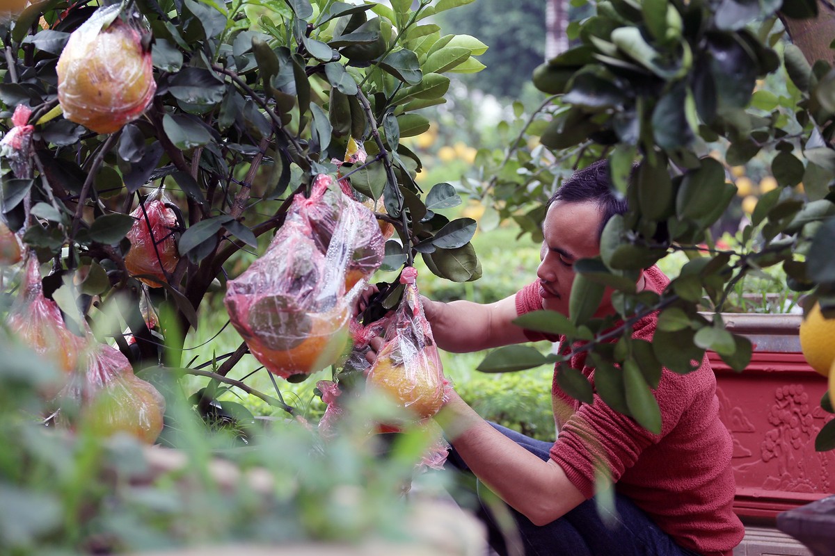Đang yên lành, Tết bỗng về tới phố  ảnh 5
