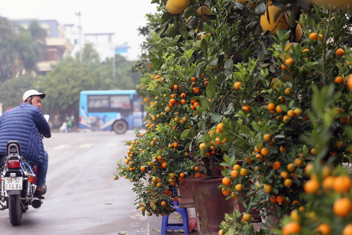 Đang yên lành, Tết bỗng về tới phố  ảnh 7