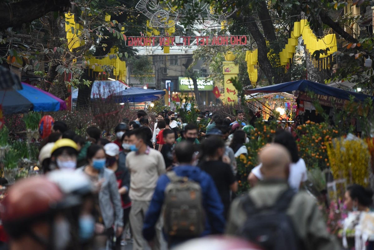 Bên cạnh phố Hàng Mã, chợ hoa Tết Hàng Lược cũng thu hút đông đảo người dân tham quan mua sắm.