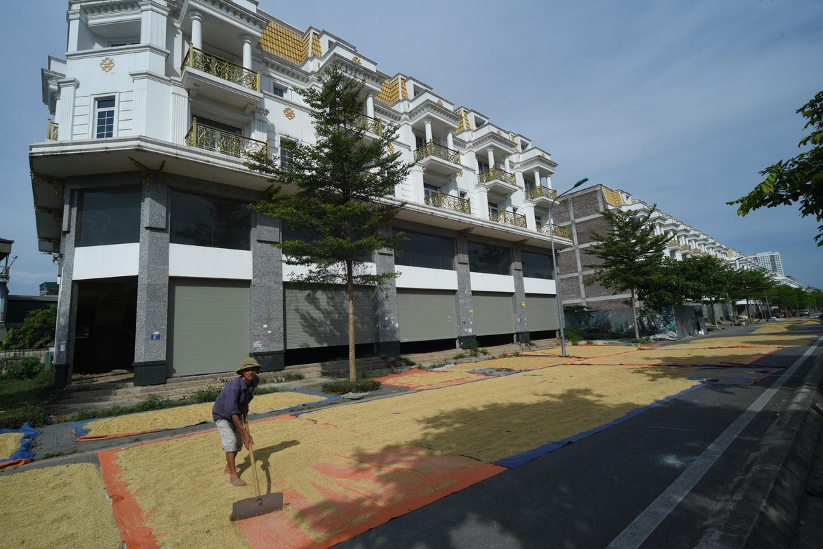 Theo ông Đồ Văn Thụ nhà tại thôn La Dương, Dương Nội cho biết, đã tranh thủ phơi thóc ở trước những ngôi shophouse bỏ không này 2 năm nay.