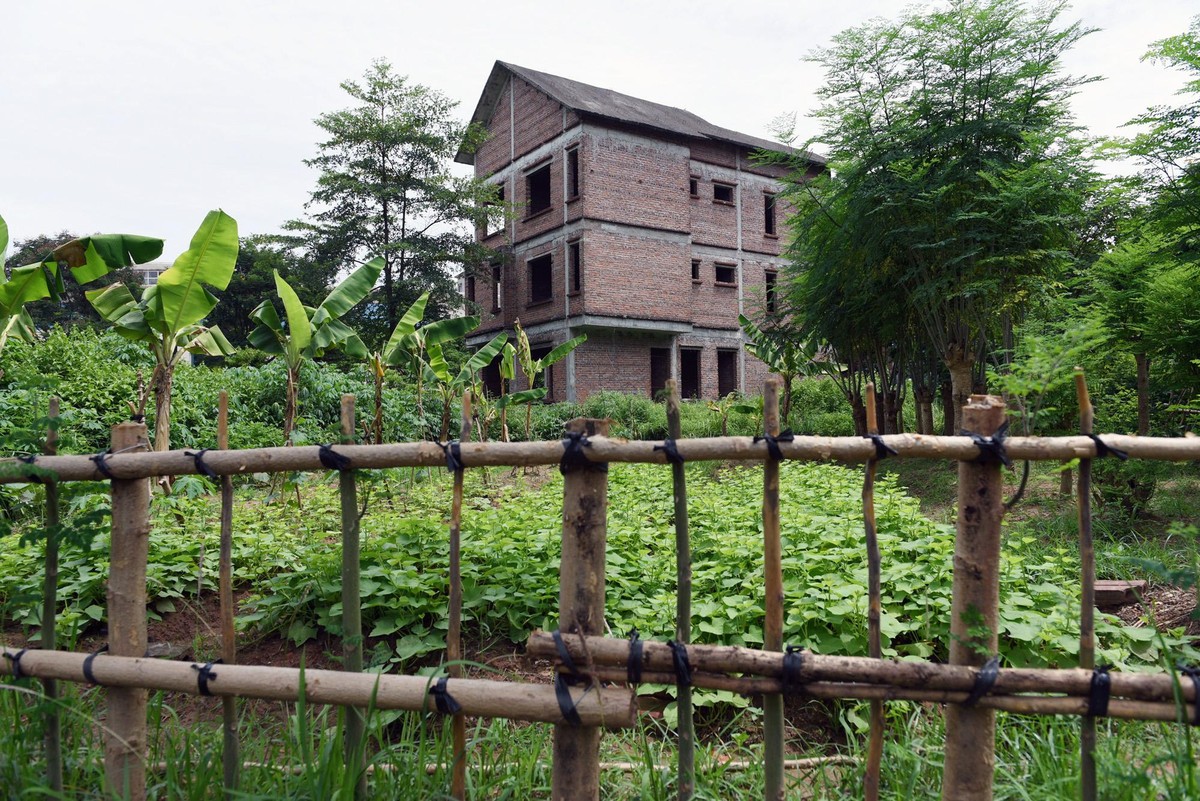 Khu đô thị Hà Phong là một trong những khu đô thị đầu tiên được triển khai xây dựng từ năm 2004 tại huyện Mê Linh, với tổng vốn đầu tư 900 tỷ đồng, do Công ty cổ phần Hà Phong làm chủ đầu tư, dự kiến hoàn thành vào năm 2014 nhưng đến nay vẫn chưa triển khai xong. Đất của một biệt thự bỏ không được tận dụng làm vườn tại khu đô thị Hà Phong. Khu đô thị Hà Phong là một trong những khu đô thị đầu tiên được triển khai xây dựng từ năm 2004 tại huyện Mê Linh, với tổng vốn đầu tư 900 tỷ đồng, do Công ty cổ phần Hà Phong làm chủ đầu tư, dự kiến hoàn thành vào năm 2014 nhưng đến nay vẫn chưa triển khai xong. Đất của một biệt thự bỏ không được tận dụng làm vườn tại khu đô thị Hà Phong.
