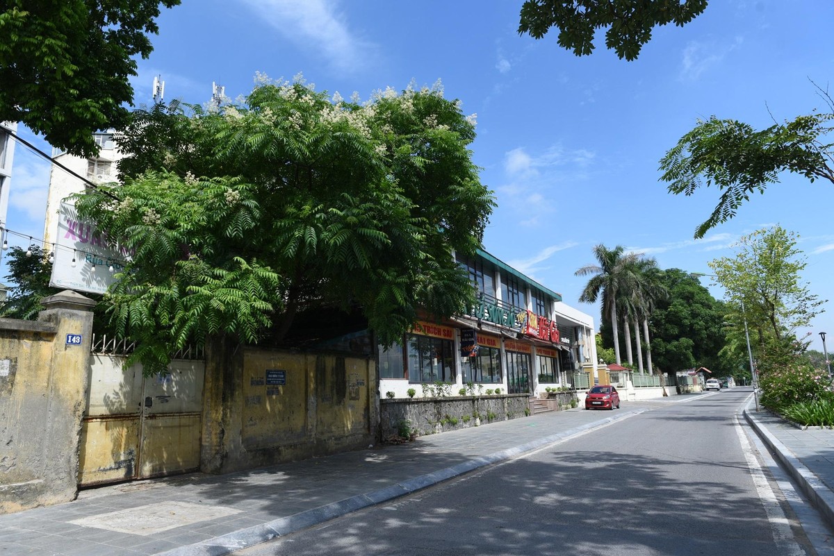 Với vốn điều lệ này, tính đến hết năm 2020, Toàn Cầu lọt top 5 doanh nghiệp có vốn điều lệ lớn nhất Việt Nam. Tuy vậy, doanh nghiệp tỷ USD này không ghi nhận doanh thu và lỗ ròng 3 triệu đồng trong năm 2019.