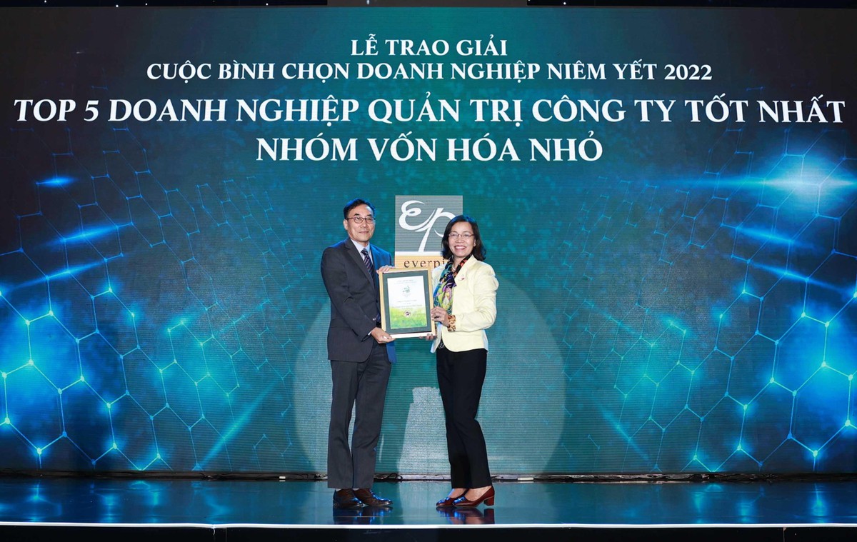 CTCP Everpia nhận giải.