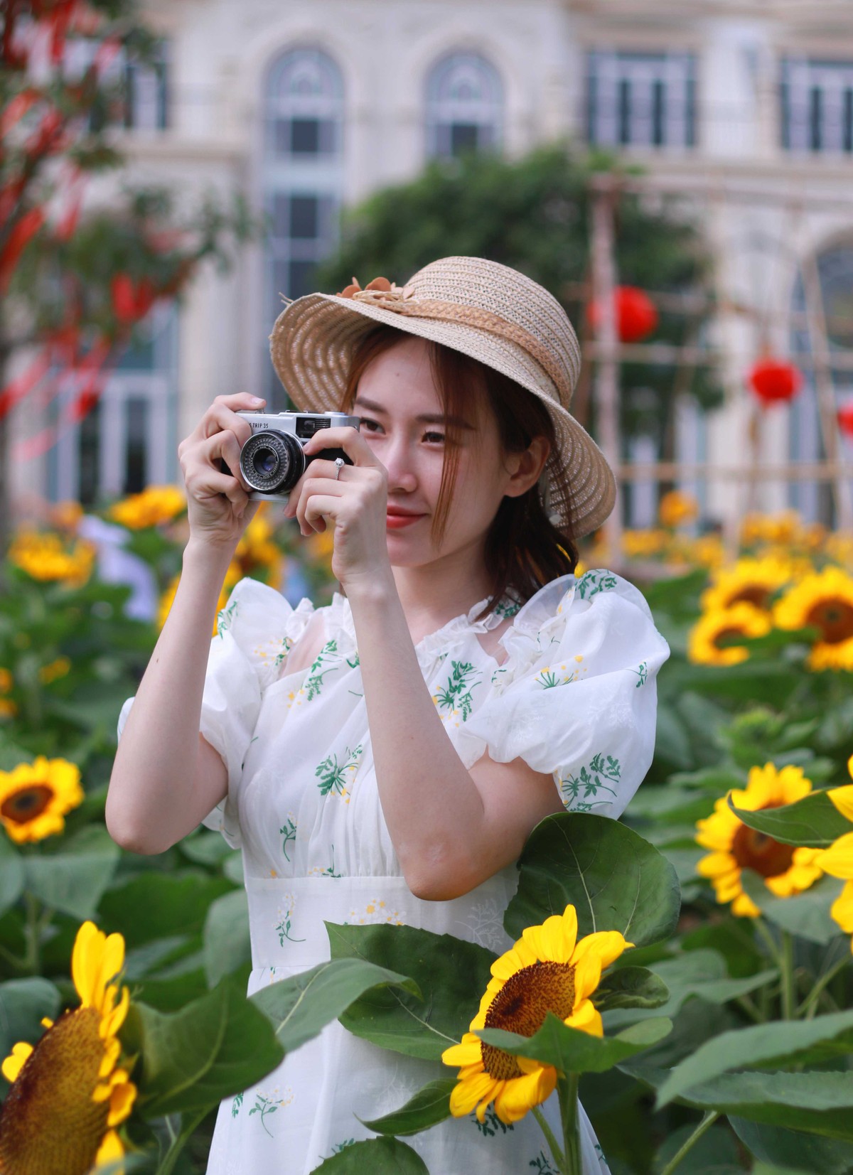 Vào năm 2018 và 2019, vườn hoa hướng dương tại đây đã trở thành điểm đến của đông đảo du khách. Đơn vị quản lý vườn hoa cho biết, nơi đây thu hút gần 500 nghìn lượt du khách đến tham quan trong mỗi đợt mở cửa.