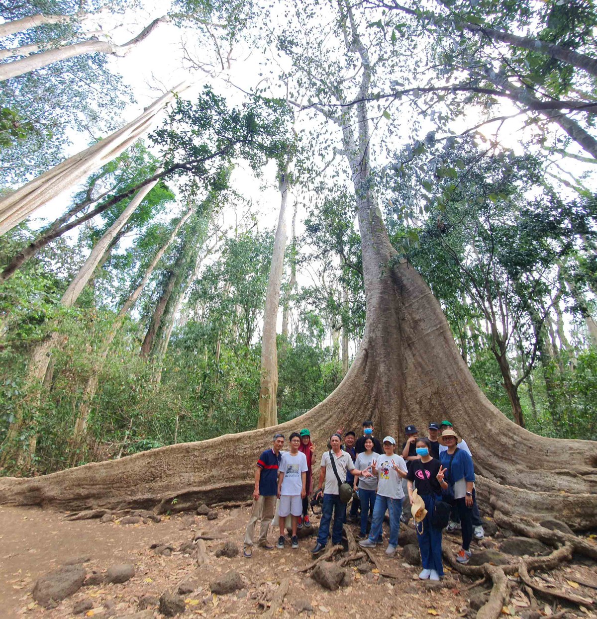 Du khách đến từ TP.HCM chụp ảnh kỷ niệm cùng cây Tung cổ thụ hơn 400 tuổi.