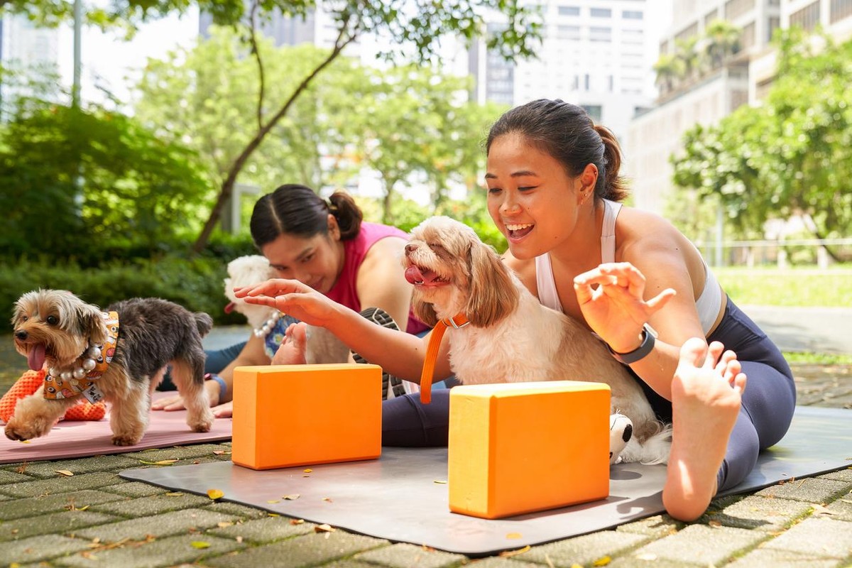 Mỗi người trong chúng ta đều có một câu chuyện của riêng mình và FWD sẵn sàng đồng hành để xây dựng một tinh thần vững vàng với các dịch vụ hoàn toàn miễn phí.