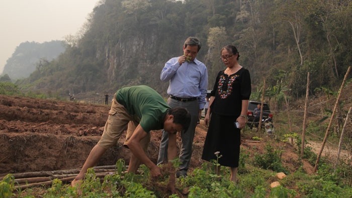 Ngân hàng phải cho vay: “biết rồi, khổ lắm, nói mãi…” ảnh 1