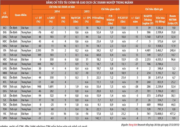 Bất động sản 2015: Triển vọng phục hồi ảnh 3