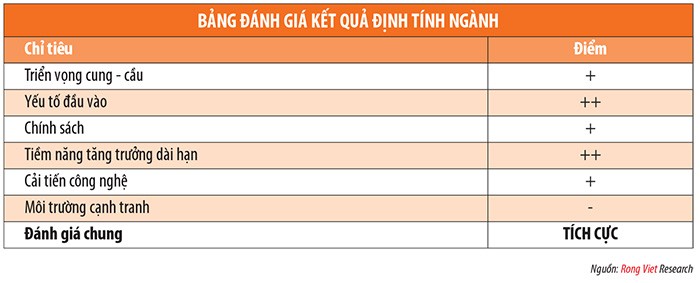 Ngành săm lốp 2015: Tiếp tục hưởng lợi từ chi phí đầu vào ảnh 2