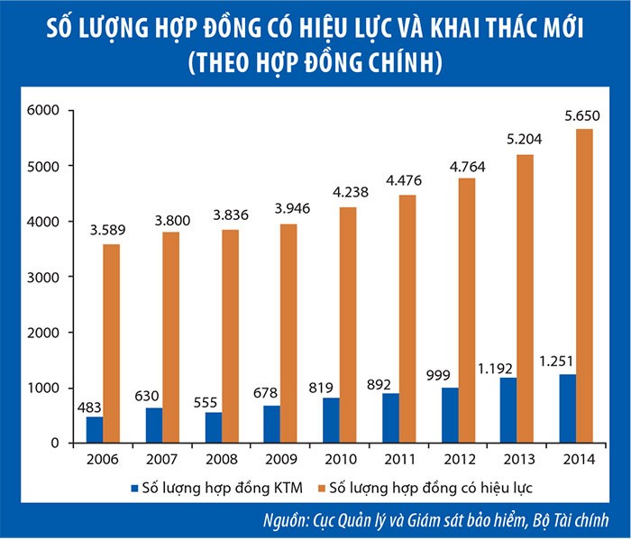 Thấy gì từ hơn 436.000 hợp đồng bảo hiểm bị hủy bỏ? ảnh 2