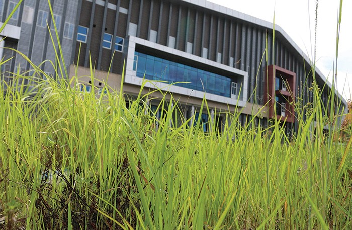 Cận cảnh nhà hát trăm tỷ nằm phơi mưa nắng ảnh 5 Cận cảnh nhà hát trăm tỷ nằm phơi mưa nắng ảnh 5