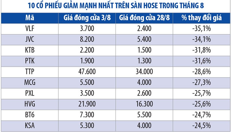 Những cổ phiếu biến động mạnh nhất tháng 8 ảnh 2