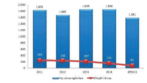 TTF trở lại vị thế dẫn đầu ngành gỗ ảnh 2