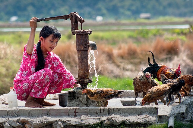 Những hình ảnh ấn tượng về nước và vệ sinh môi trường ảnh 10