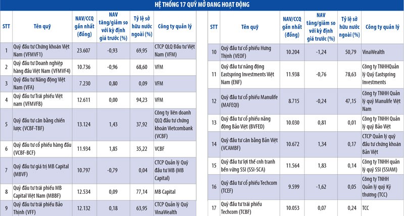 Chờ miếng ghép cuối cho ngành quỹ ảnh 1