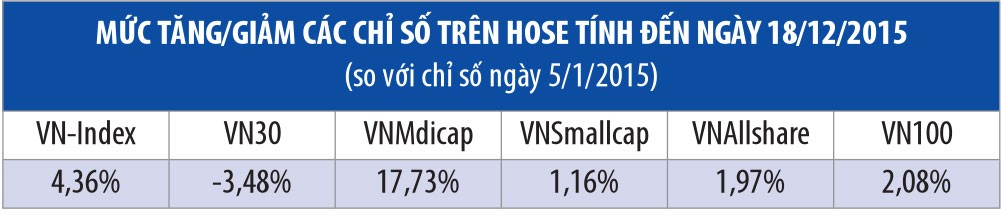 Chỉ số sàn HOSE, nhóm vốn hóa trung bình “bật sáng” ảnh 2