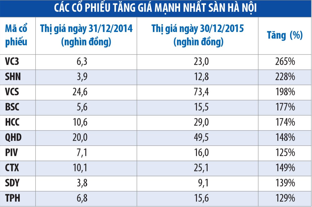Những cổ phiếu tăng phi mã năm 2015 ảnh 3