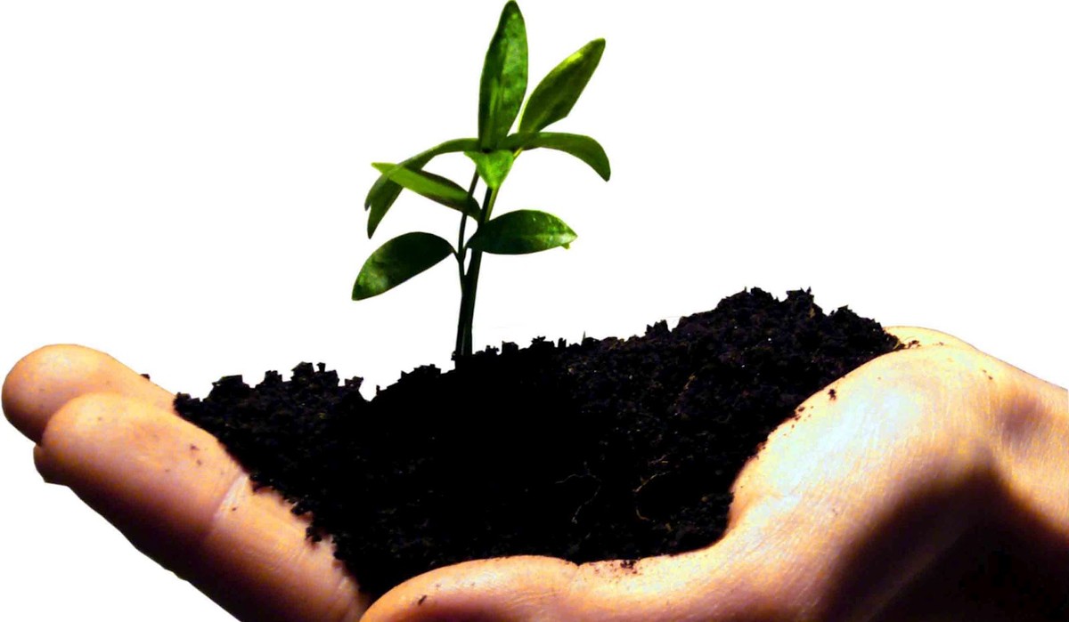 Ai quyết định vận mệnh của chúng ta? ảnh 1