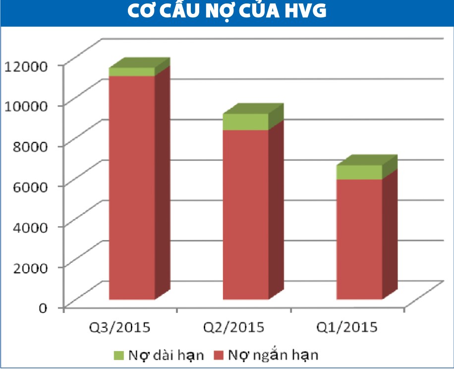 HVG: Chơi vơi niềm tin bật mạnh trở lại ảnh 1