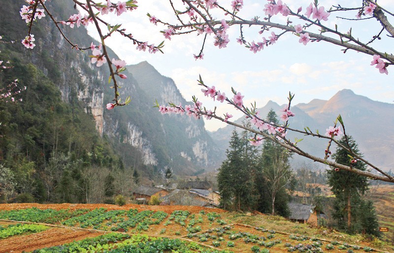 Tình ca Tây Bắc… ảnh 1