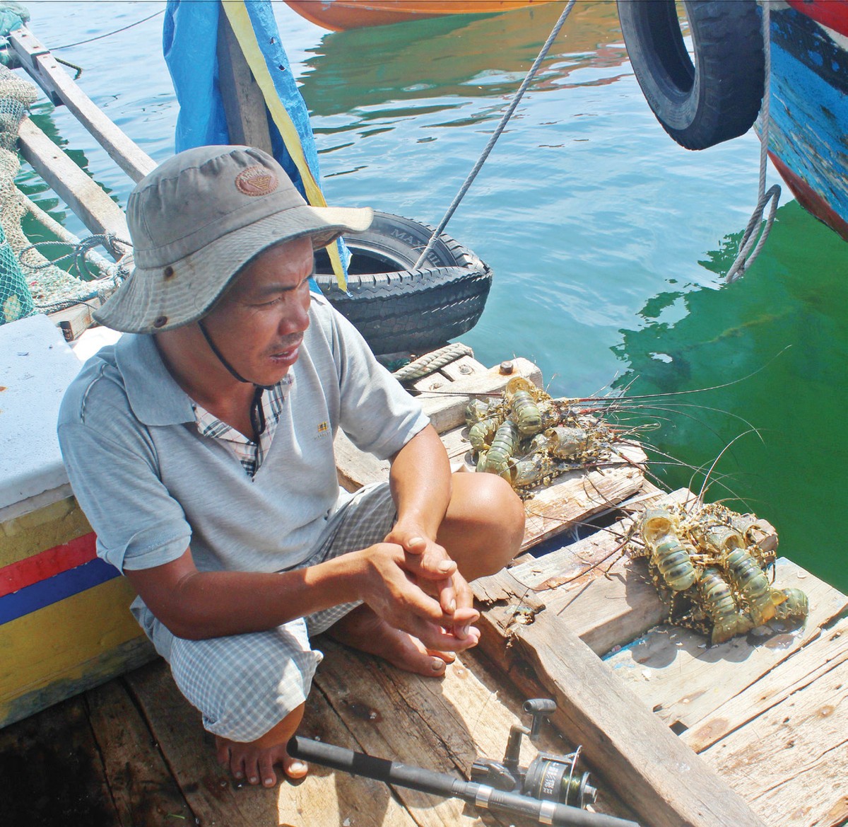 Nằm mộng với Vân Phong ảnh 1