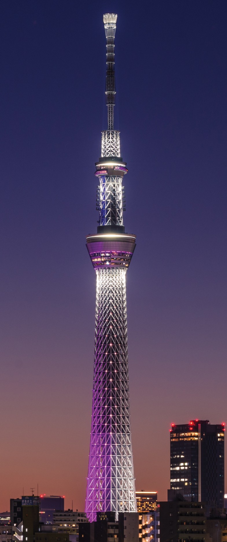 Tháp truyền hình, biểu tượng và bài toán kiếm tiền ảnh 1